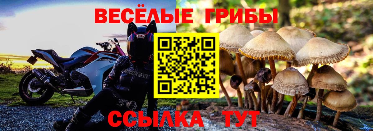 Галлюциногенные грибы Cubensis  Галлюциногенные грибы ЛСД  Вход с VPN  Шарыпово 